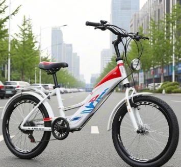 Knowledge About Lithium Batteries For Electric Bicycles