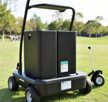 How To Maintain The Lithium Battery Of A Golf Cart in Daily Life