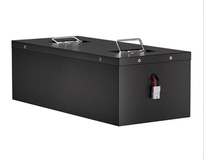 Sightseeing Cart Lithium Battery